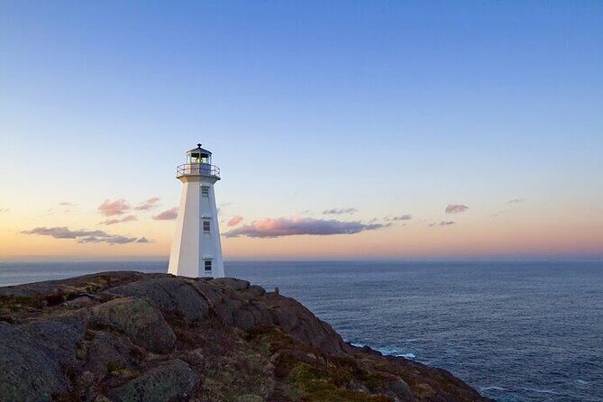 The Best of St. John's Private Walking Tour - Key Points