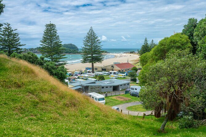 The Best of Tauranga Private Walking Tour - The Itinerary in Detail: What You’ll See and Experience
