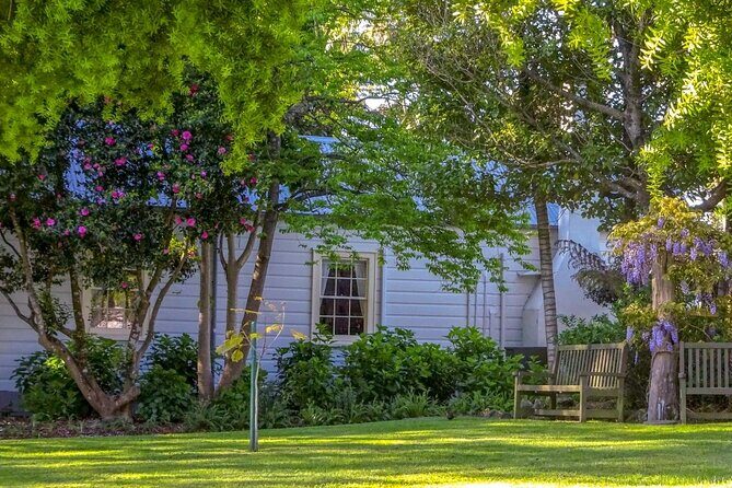 The Best of Tauranga Private Walking Tour - Who Should Consider This Tour?
