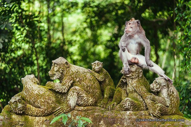 The Best of Ubud Tour and Jungle Swing - What’s Included and What’s Not