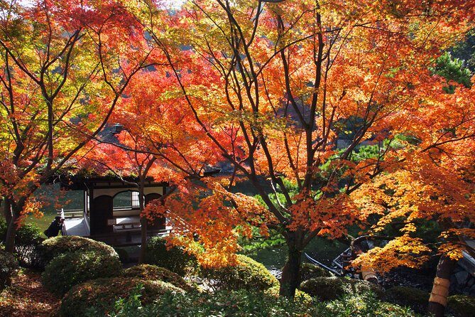 The Best of Wakayama City Private Tour - What Makes This Tour Special?