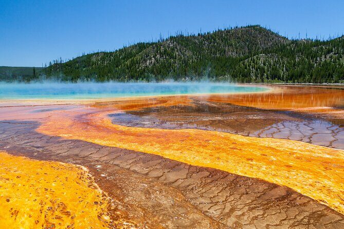 The Best of Yellowstone - Nat'l Park Day Tour From Cody - Private - Key Points