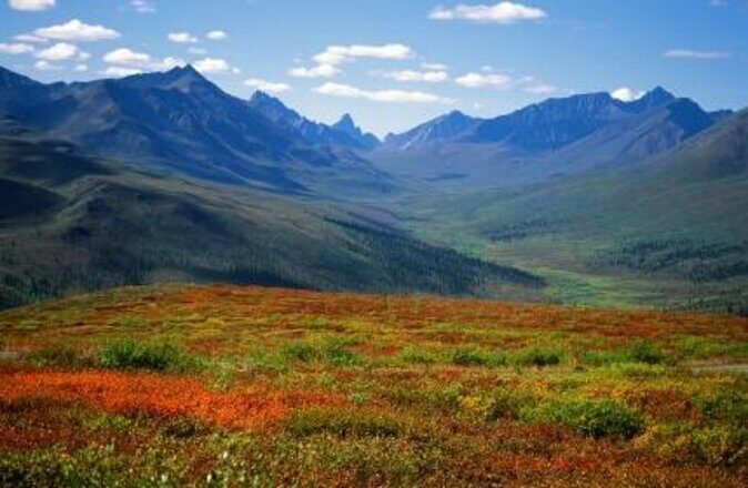 The Best of Yukon City Private Tour (by car) - Key Points