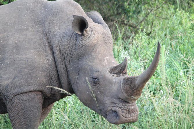 The Best of Zululand's Big 5 reserves - For the Discerning guest - Final Thoughts