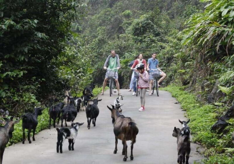 The Best Overnight Cruise Visit Lan Ha Bay, Viet Hai Village - What’s Included and What’s Not
