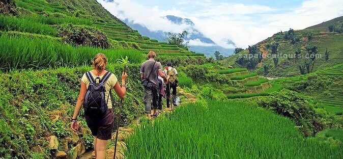 The Best Sapa Tour 2D1N At 3 Star Hotel by sleeping BUS TRANSFER - FAQ: Your Practical Questions Answered