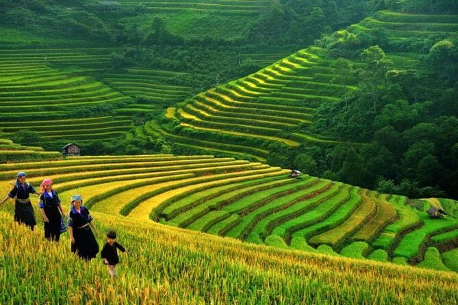 The Best Sapa Tour 2D1N Stay At 3* Hotel -Transfer by Sleep BUS - Deep Dive into the Itinerary