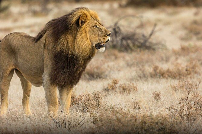 The best Selous 1 day safari from Zanzibar - Final Thoughts