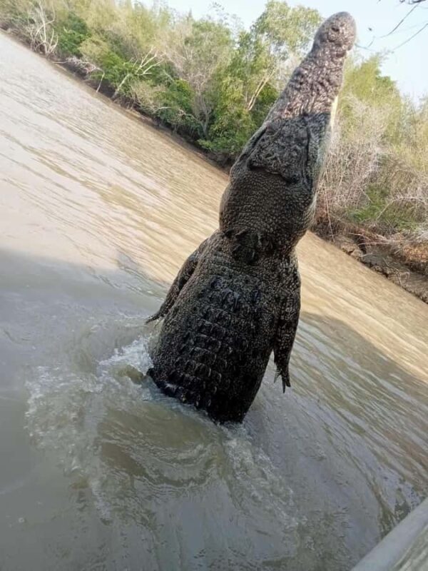 The best tour of Litchfield and crocodiles on the river - Key Points