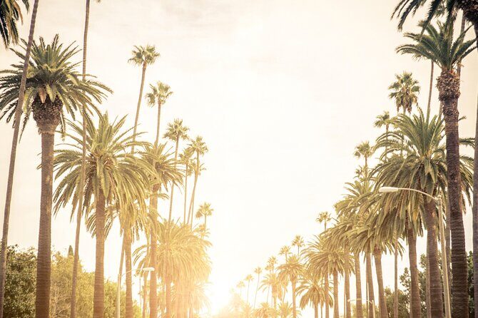 The Best Transfer to Los Angeles International Airport (LAX) - A Closer Look at the Experience
