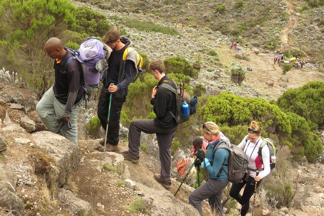 The Best & Unique Kilimanjaro Hiking tour 7 days Machame route - An In-Depth Look at the Kilimanjaro Machame Route Experience