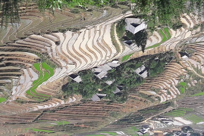 The best view and most authentic tour in Sapa (Non Touristy) - An In-Depth Look at the Tour Experience