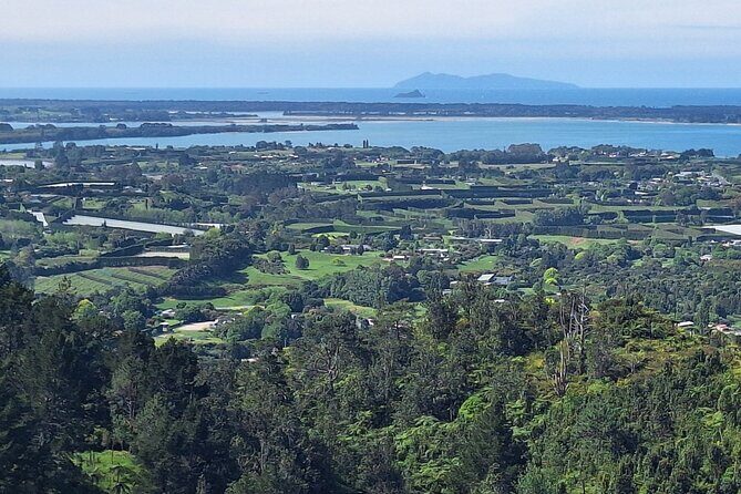 The Big Bay Tour with Te Puna Sculpture garden and Minden Views - Who Should Consider This Tour?