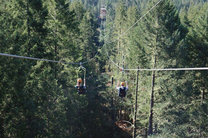The Big Zip Experience - Key Points