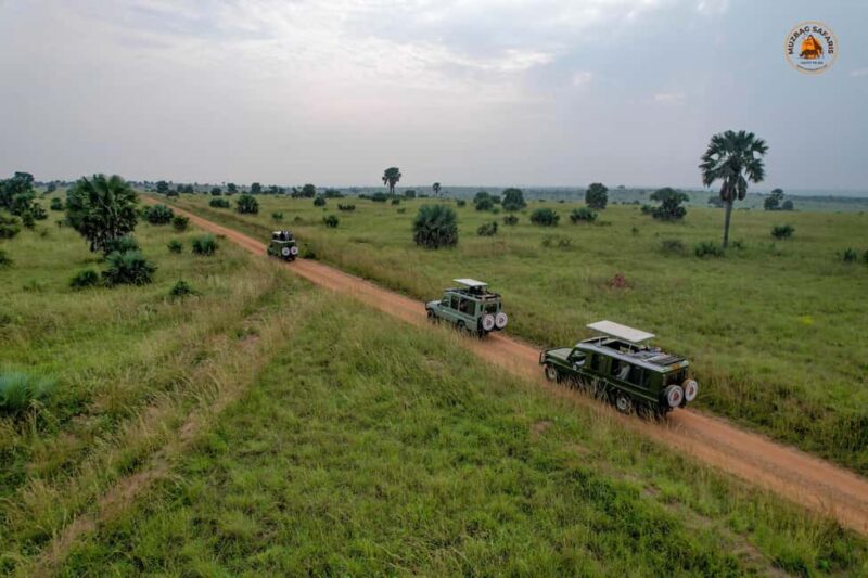 The Big5 3 Days Wildlife Adventure Experience in Uganda. - Key Points