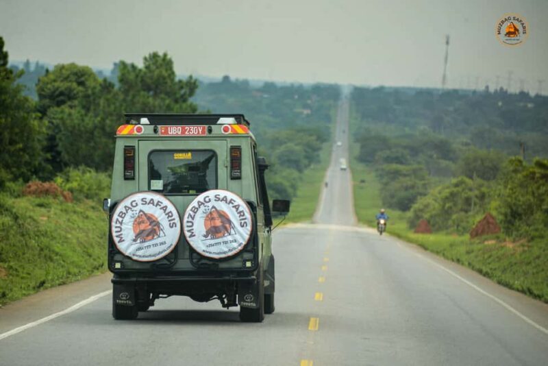 The Big5 3 Days Wildlife Adventure Experience in Uganda. - Practical Tips for Travelers