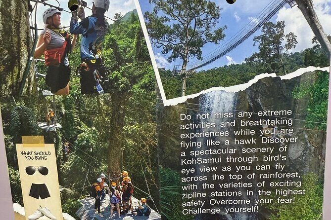 The Biggest and longest Zipline, Hawk, Koh Samui - An In-Depth Look at the Koh Samui Zipline Adventure