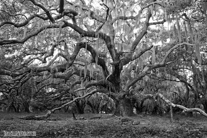 The Blackest Ghost Tour Ages 17 and Above - Why This Tour Works Well for Travelers
