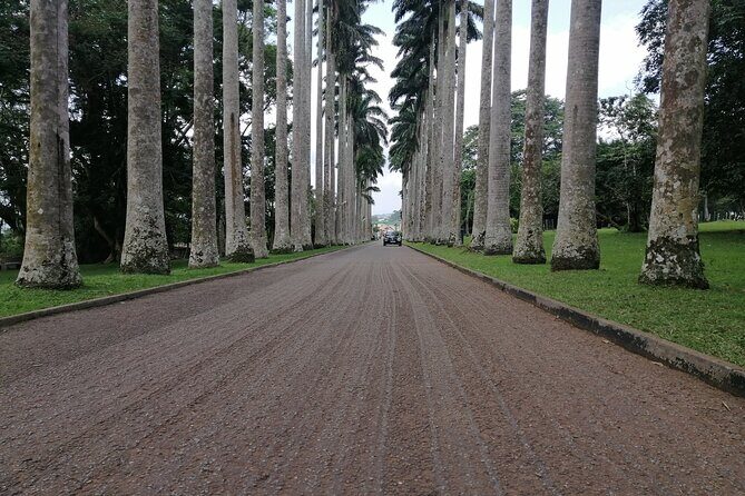 The Botanical Gardens and Water Falls Experience - Private Tour - From the Reviews: What Travelers Say
