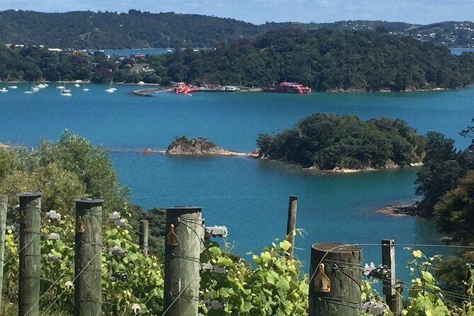 The Boutique Experience: Waiheke Best Cellar Tour (11 guests max) - Key Points