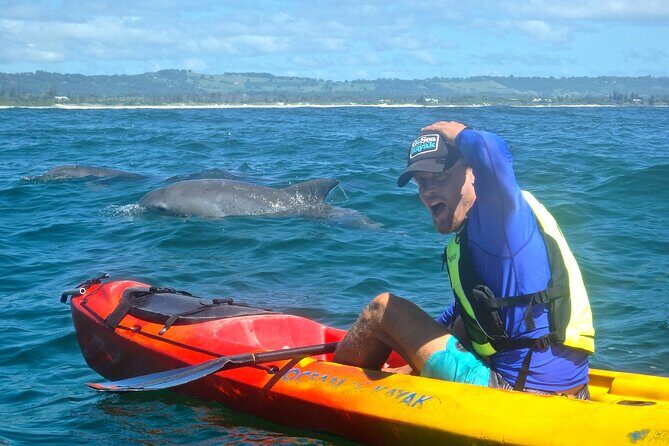 The Byron Bay Sea Kayak Tour - Who Should Consider This Tour?