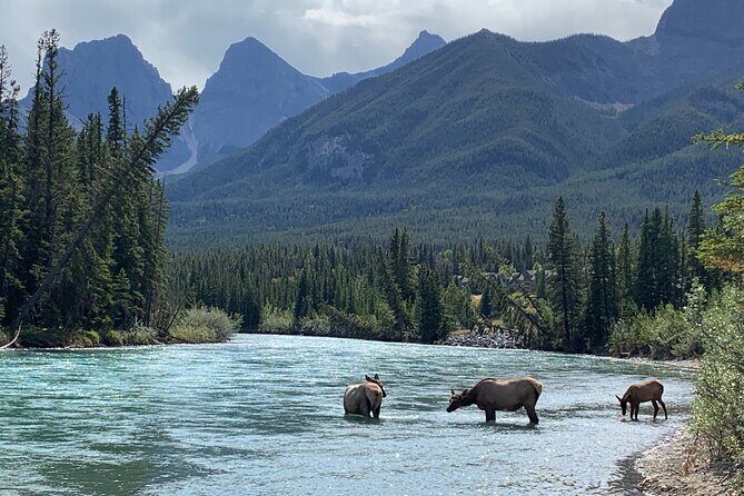 The Canmore History Tour - 1.5H Walk - In-Depth Look at the Tour Experience