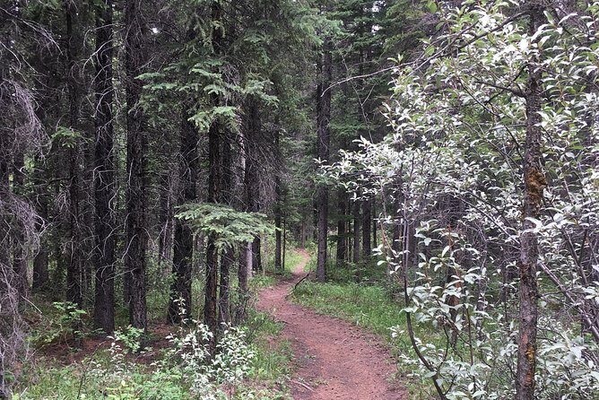 The Canmore History Tour - 1.5H Walk - The Sum Up