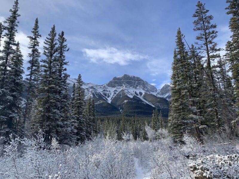 The Canmore HISTORY TOUR - Cowboys and Coal Miners 1.5H Walk - Who Will Love This Tour?