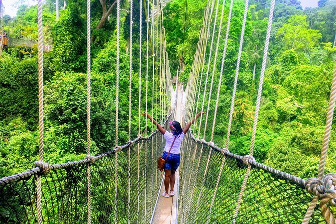 The Cape Coast Tour - The Cape Coast Tour: A Deep Dive into Ghana’s Heritage and Nature