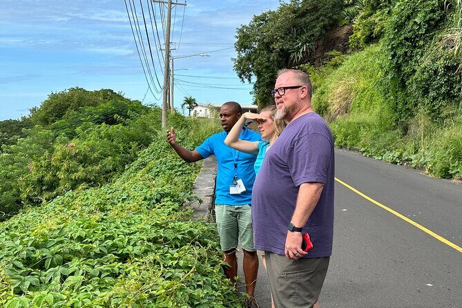 The Cascading Dark View Falls and Beach Experience with Topdawg Taxi and Tours - Final Thoughts