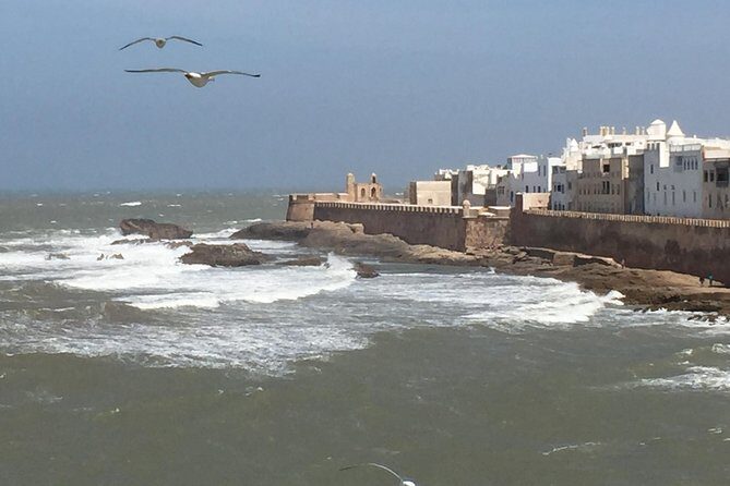 The Charms of Essaouira Mogador and the Argan tree Forests - Exploring the Itinerary in Detail