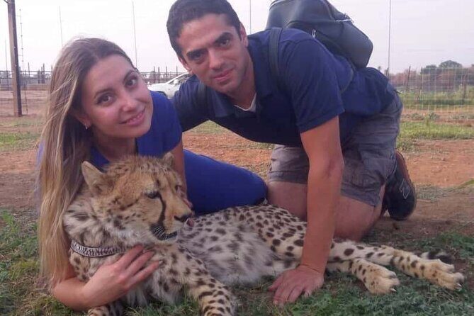 The Cheetah Experience - The Environment and Setting