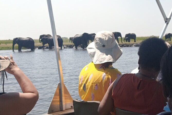 The Chobe Safari Day trip from Livingstone - What Makes This Tour Stand Out?