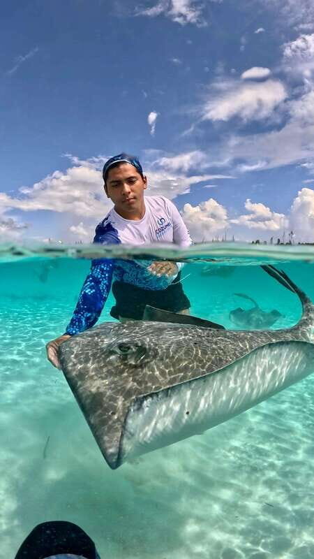 The Cozumel Turtle Sanctuary Snorkel Tour - What to Expect: The Experience in Action