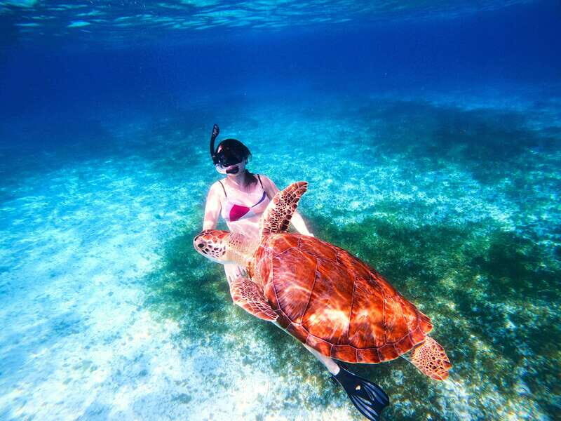 The Cozumel Turtle Sanctuary Snorkel Tour - The Marine Conservation Aspect