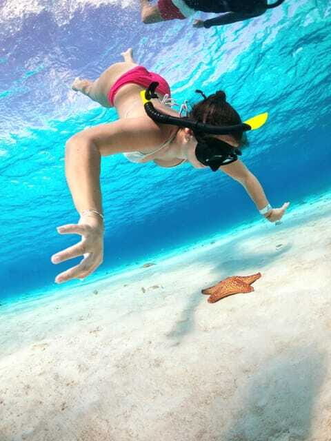 The Cozumel Turtle Sanctuary Snorkel Tour - Who Will Love This Tour?