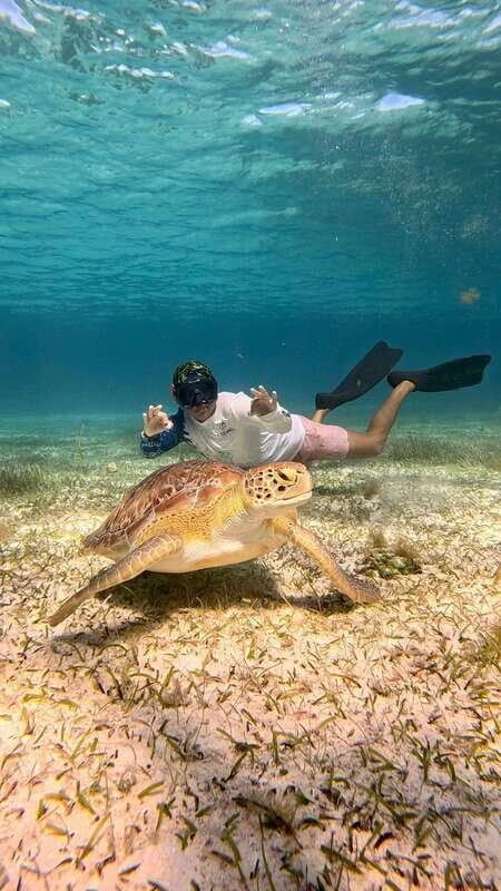 The Cozumel Turtle Sanctuary Snorkel Tour - Final Thoughts: Is It Worth It?
