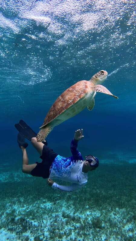 The Cozumel Turtle Sanctuary Snorkel Tour - FAQ