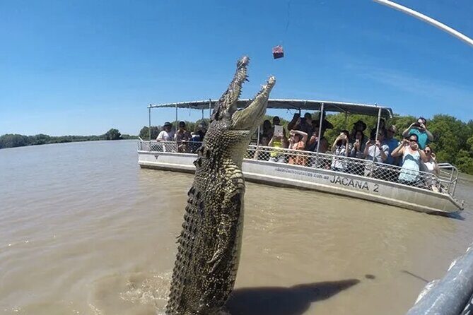 The Croc Bus to the Famous Jumping Crocodile Cruise - In-Depth Look at the Experience