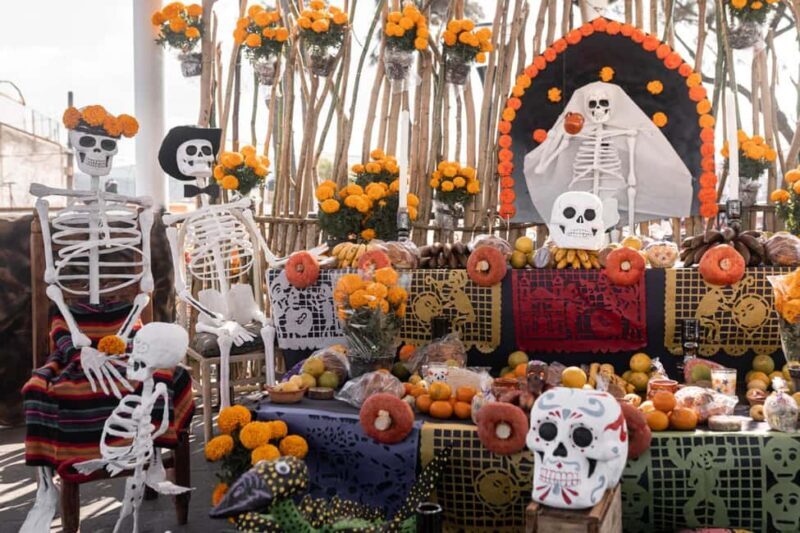 The Day of the Dead Private Tour in Mexico City - What the Experience Is Like
