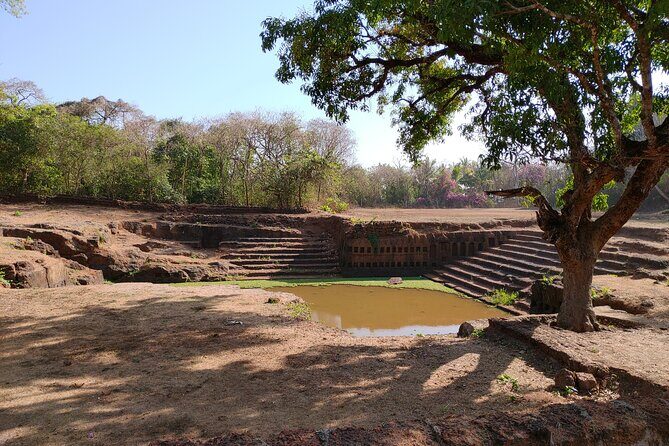 The Divar Island Exploration - A Detailed Look at the Tour