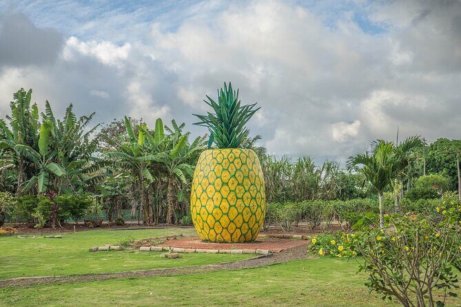 "The Dole Plantation" & "North Shore" Private Limousine VIP Tour! - An In-Depth Look at the VIP Tour Experience