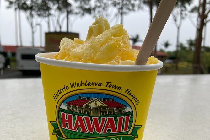 "The Dole Plantation" & "North Shore" Private Limousine VIP Tour! - Practical Details & Value