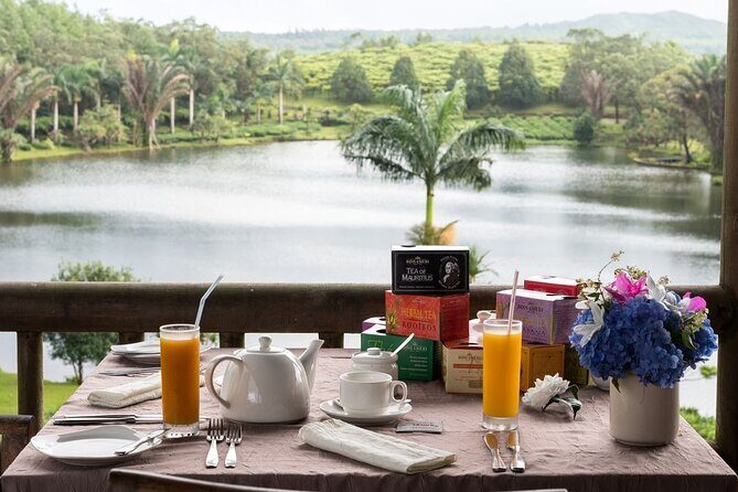 The East Discovery Tour: Bois-Cheri Tea Factory, Blue-Bay Marine Park & Lunch - Final Thoughts
