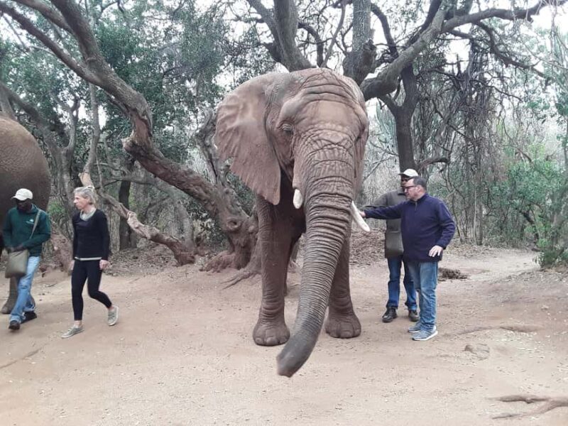 The Elephant and Monkey Sanctuary. - Key Points
