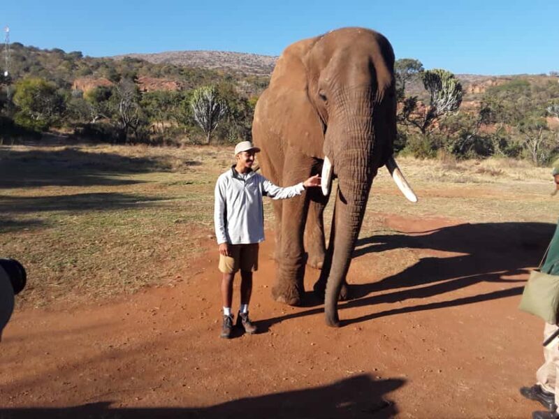 The Elephant and Monkey Sanctuary. - Who Is This Tour Best For?