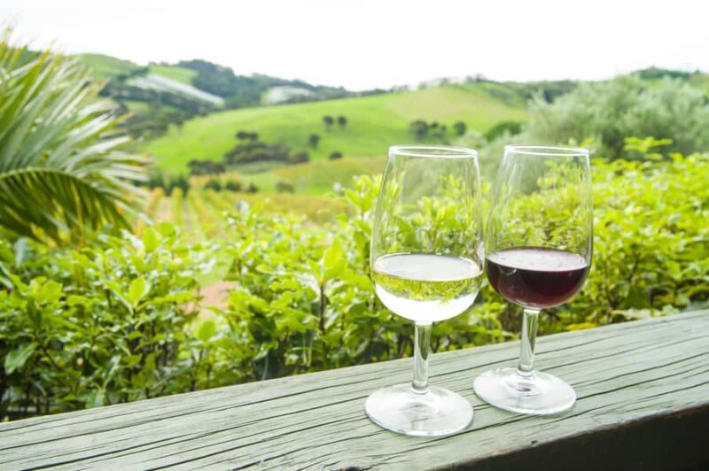 The Epic Waiheke Sundowner, Food And Wine Trip - An In-Depth Look at the Waiheke Sundowner Tour