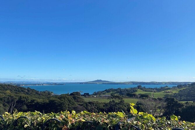 The Essence of Waiheke Wine Tour - Authentic Experiences and Authenticity