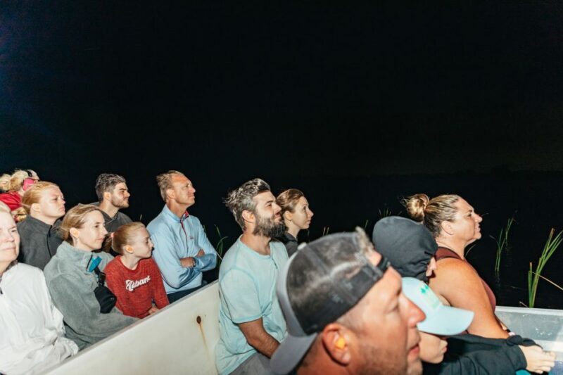 The Everglades: 1-Hour Airboat Night Tour - Experience You Can Expect