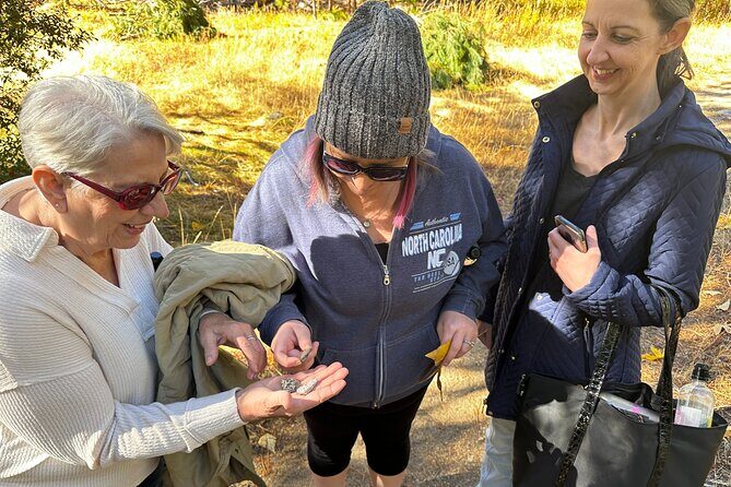 The Evolution of Yosemite 3 Hour Walking Tour - Authentic Experience and Authentic Guides